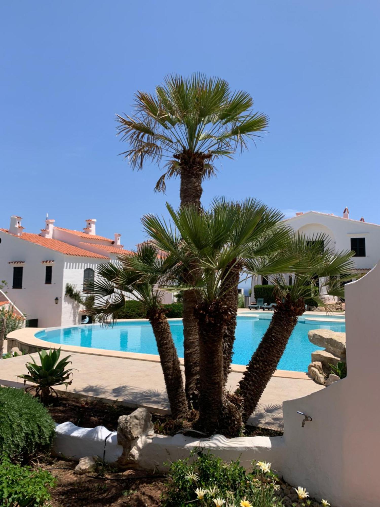 Appartement Oportunidad En La Playa Son Parc